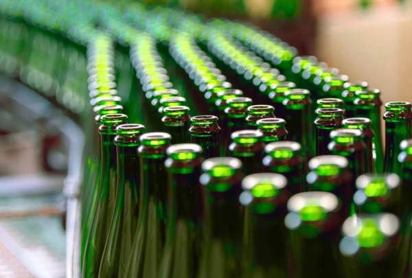 Wine bottles on filling line